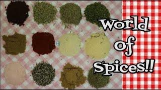 How to Make Za'atar ~  Seasoning Blend ~ Pita & Hummus Seasoning ~ Noreen's Kitchen