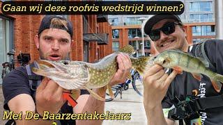 GAAN WIJ DEZE ROOFVIS WEDSTRIJD WINNEN? - Samen met @debaarzentakelaars