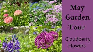 May Flower Garden Tour | Cloudberry Flowers