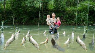 Harvest gourds to sell at the market - trap giant fish, cook with your children