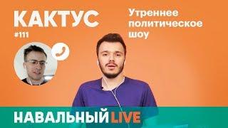 Кактус #111. Гость — Алексей Шевцов, ITPEDIA