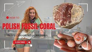 GEOLOGIST shows you HOW to polish Riley's Canyon RED horn Coral