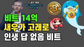 비트 14억 똑같은 인생 탈출 #시바이누 #비트코인 #리플 #스텔라 #에이다