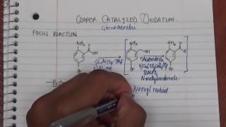 COPPER CATALYZED OXIDATION AEROBIC  HISTORY part 1