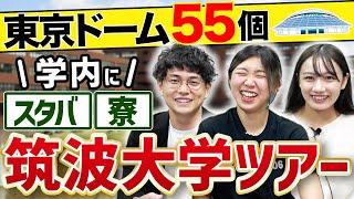 【筑波大学】学業と私生活が両立できるキャンパスの秘訣とは？