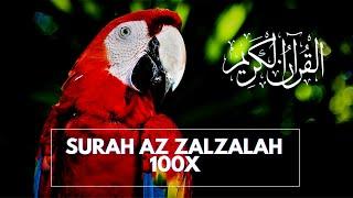 SURAH AZ ZALZALAH  (AL ZALZALAH) HAFALAN 100x | الزلزلة | HAFALAN AZ ZALZALAH 100X