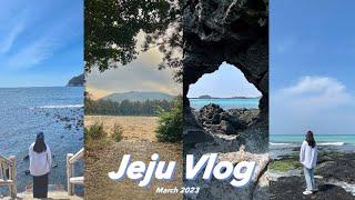 Jeju Vlog | 3월 제주도 여행 브이로그 Ep.02 | 보목포구, 쇠소깍, 한반도포토존, 사려니숲, 안도르, 섭지코지, 김녕해수욕장, 창꼼바위 | 제주도맛집, 제주도카페