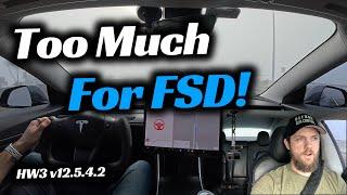 Tesla FSD Struggles in Heavy Fog! | AI vs Nature