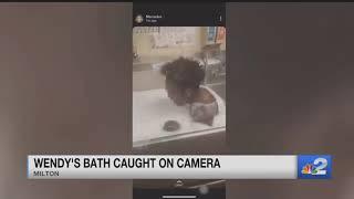 Viral video shows Florida man bathing in a Wendy's sink