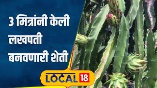 Agriculture: 3 शेतकरी मित्रांची कमाल, खडकाळ जमिनीवर फुलवली Dragon Fruit शेती, आता कमाई.. | #local18