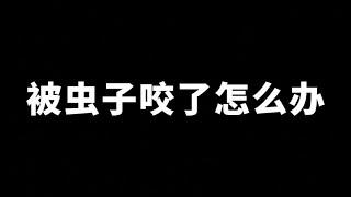 被虫子咬伤怎么办，虫咬性皮炎的治疗方法，红肿，疼痛，瘙痒，水泡，蚊子，臭虫，跳蚤，蠓虫，螨虫，隐翅虫，毛毛虫 | 三维健康