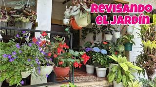 REVISANDO MI JARDÍN Y CONSEJOS PRACTICOS PARA TI/Liliana Muñoz