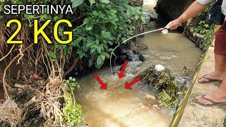 Mancing Di Gorong Gorong Pinggir Jalan Tak Terduga Banyak Ikanya