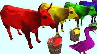 Учим цвета с животными ЦВЕТНЫЕ КОРОВЫ КОШКИ ГУСИ Learn colors with animals COWS CAT GOOSE ДитяткоТВ