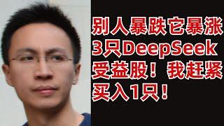 美股投資分析: 熱門股暴跌它卻暴漲! 3只DeepSeek受益股! 我趕緊買入1只