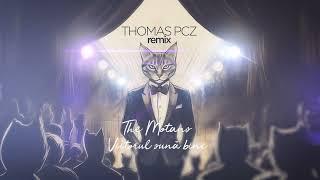 The Motans - Viitorul sună bine ( Thomas Pcz Remix )