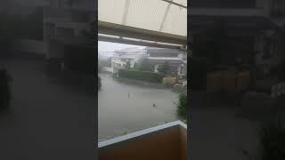 flooding due to super typhoon hagibis in  shizuoka kikugawa shi