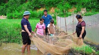 Harvesting Peanuts and Processing Corn to Sell at Market, Buying Fish to Raise in Newly Opened Ponds