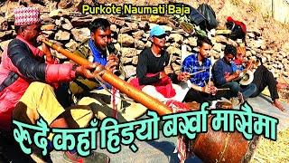 CHARI BASAIMA | रुदै कहाँ हिड्यौ बर्खा मासैमा | Purkote Naumati Baja