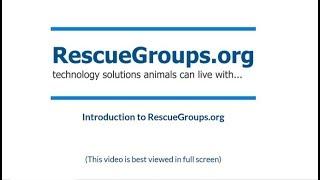 Introduction to Rescuegroups.org