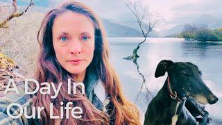 Abandoned Village Discovery: Vanlife Adventure in Snowdonia with my Greyhound