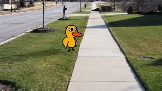 If the duck story were real