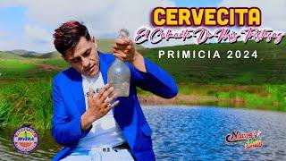 CERVECITA EL CALMANTE DE MI TRISTEZA _ NUEVO STILO PRIMICIA 2024 video clip