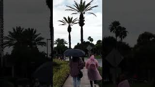 ️ Walking in the Rain