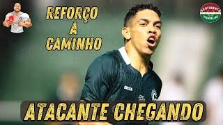 REFORÇO CHEGANDO - FLUMINENSE NEGOCIA COM O ATACANTE PAULO BAYA