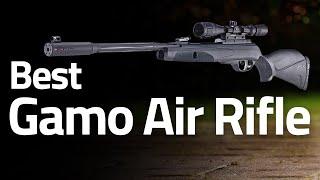 10 Best Gamo Air Rifle 2023 For Hunting