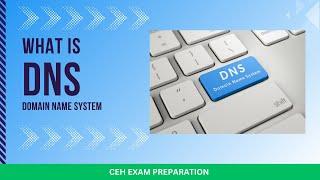 Domain Name System (DNS) | Ethical Hacking | CEH Exam Preparation 2024 | Hemang Doshi