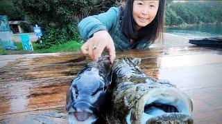 TOP Fishing & Camping Spots MARLBOROUGH SOUNDS, South Island, New Zealand