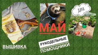 #ВЫШИВКА   #ДАЧА-  УСПЕТЬ ВСЁ или КАК МАЛО ВЫШИВАЕТСЯ