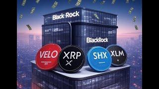 TOKENIZATION; THE FUTURE | VELO SHX XRP XLM | The Deeper Dive