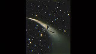 (FREE) VINTAGE JAZZ/SOUL SAMPLE PACK - "Starry Night" | MF DOOM x THE ALCHEMIST