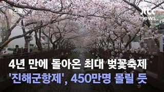 4년 만에 돌아온 최대 벚꽃축제 '진해군항제'…450만명 몰릴 듯 / JTBC 뉴스룸