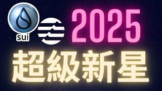 2025山寨幣兩個超級新星Aptos跟Sui #APT #SUI