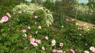 How to Design a Garden | P. Allen Smith Classics