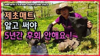 제초매트 뭘로 깔까? 이 영상 보고 결정 하세요 첼리팜 시골이야기 CelliFarm's Korean countryside story