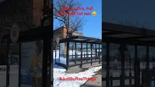 #JustBuffaloThings #Snow #Sun #Spring24 #March #Buffalo #universityatbuffalo #UB