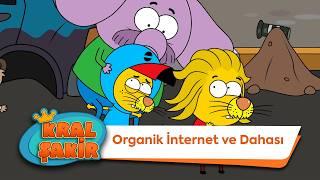 Organik İnternet Ve Dahası  - Kral Şakir