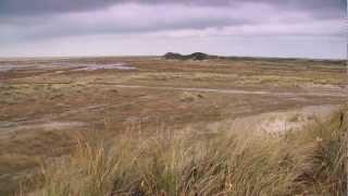 Waddenacademie thema Geowetenschap Schier NL HD.mov