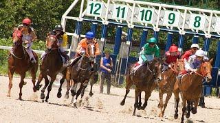 Virtual Horse Racing, Online Horse Racing, Firebird Events Ltd