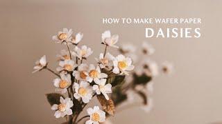 Wafer Paper Flowers Tutorial: How to make Wafer Paper Daisies