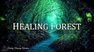 HEALING FOREST AMBIENCE | 639Hz + 741Hz - Miracle Tones | Attract Love + Clear ALL Negative Energy