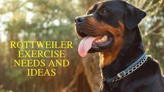 Rottweiler Exercise [Needs and Ideas]