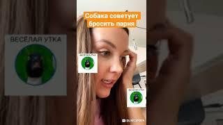 Собака советует бросить парня | Весёлая Утка