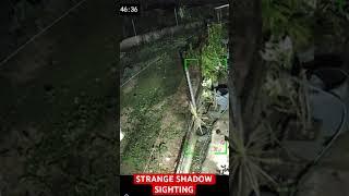 STRANGE SHADOW CAUGHT AT MY BACKYARD #shorts  #strangerthings  #creepy  #creepystories  #strange