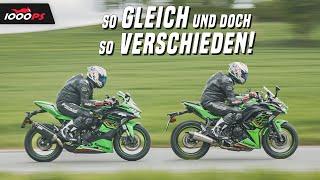 Kawasaki Ninja ZX-4RR vs. Ninja 650 Landstraßen-Test 2024