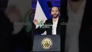 Ahora resulta que todos defienden a los pandilleros en el Salvador